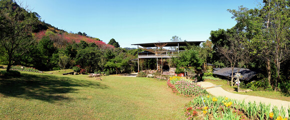 Sunny exterior view of a garden with many flower blossom