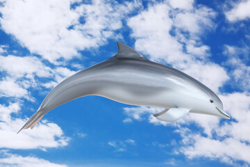 Tursiops Truncatus Ocean or Sea Bottlenose Dolphin. 3d Rendering