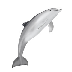 Obraz premium Tursiops Truncatus Ocean or Sea Bottlenose Dolphin. 3d Rendering