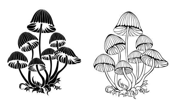 Silhouette Hallucinogenic Mushrooms