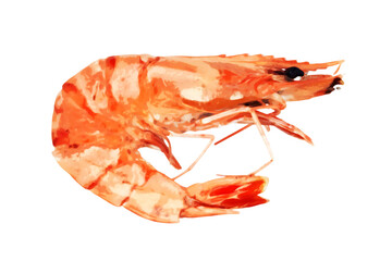 Stylized Cooked Tiger Prawn, Isolated against white background