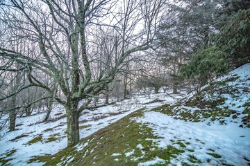 scenic views at banner elk north carolina near boone nc