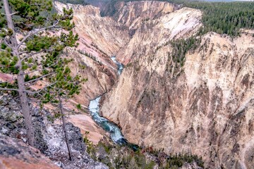 Lower falls of the yellowstone national park from artist point at sunset, wyoming in the usa