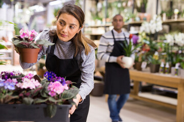 Fototapeta premium Positive woman cuts the leaves of flowers with scissors at flower shop