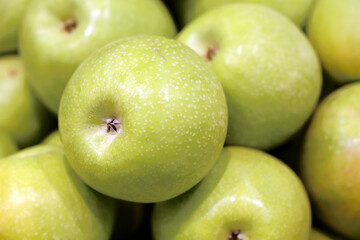Green apples close up for background. Fresh harvest, ripe fruits on farm market
