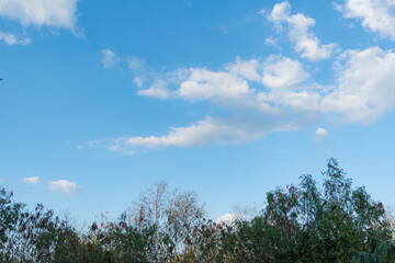 clear blue sky background,clouds with background.