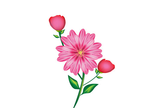 Pink gerbera blossom flower beautiful watercolor image logo vector design template on black background