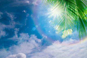 Fototapeta na wymiar Blue sky background with green coconut palm leaves,relax or holiday season concept 
