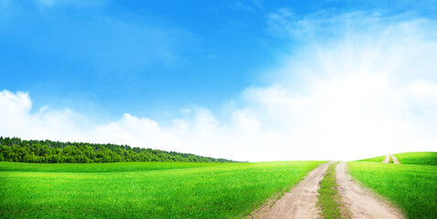 Road through grass field and clear blue sky