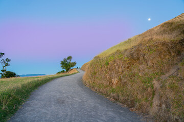 Path up Mount Maunganui and moon.