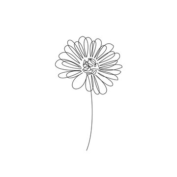 One Line Vector Drawing of Flower. Botanical Modern Single Line Art, Aesthetic Contour. Perfect for Home Decor, Wall Art Posters, or t-shirt Print, Mobile Case. Continuous Line Drawing