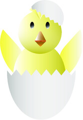 chick in egg 