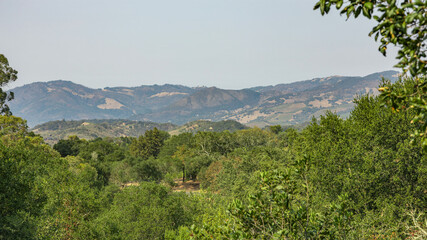 View of Sonoma Valley, California, USA, warm summer weather, beautiful landscape.