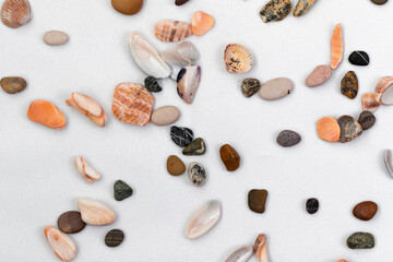 Multi-colored seashells and stones lie on a white cloth. Flatlay. Background from marine fossils.