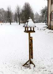 snowy bird feeder with seeds, Bird feeder in the winter snowy garden, Winter time. Winter