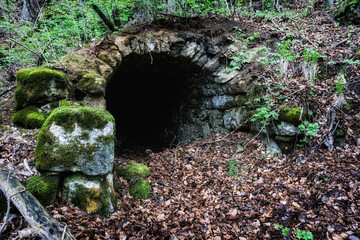 höhle Eingang im Wald