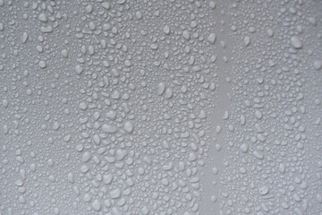 Wassertropfen auf weissem Hintergrund