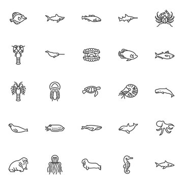 Marine life line icons set. linear style symbols collection, outline signs pack. Marine animal vector graphics. Set includes icons as sea fish, shark, narwhal, langoustine, turtle, jellyfish molluscs
