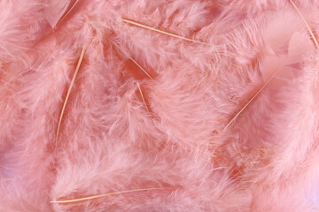 Coral pink feather texture background, pastel soft fluff. Healthy sleep concept.