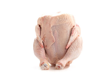 Whole fresh chicken isolated on white background. Close up. Copy space.