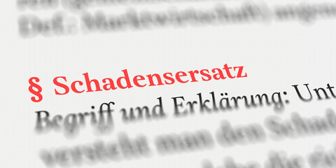 Schadensersatz rechtlich erklärt mit Paragraph Zeichen