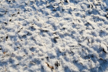 눈 내린 날의 아름다운 풍경