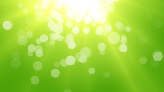 Green motion background. Summer sun, boke. Animation of seamless loop.
