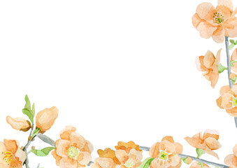 Pastel Watercolor Flowers Art Background peach spring