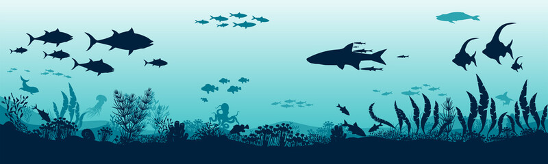 Silhouette of fish and algae on the background of reefs. Vector illustration. 