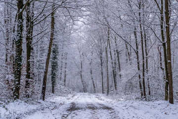 Brühler Ville im Rheinland