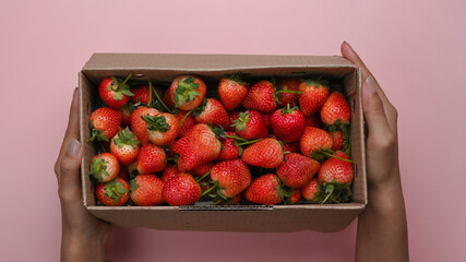 Overhead shot of woman holding box with fresh strawberry on pastel pink background.