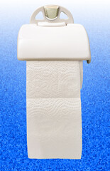 White roll of soft toilet paper in a white holder