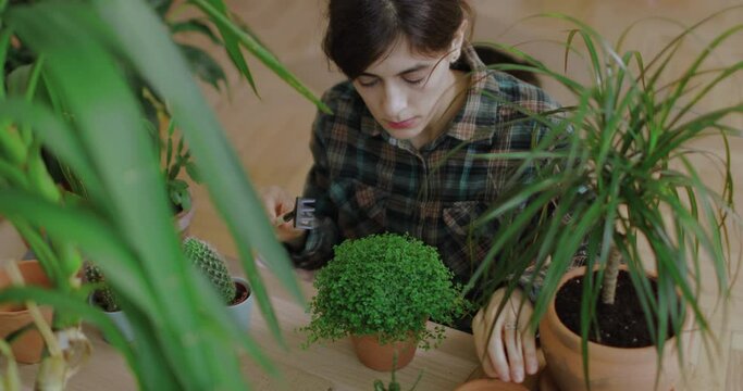 Young female planting flowers in terra cotta pots. Hobby and leisure activity at home. Greenhouse concept.