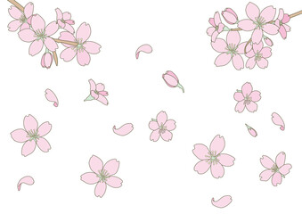 桜の背景素材　色付き