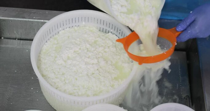 Produzione ricotta di capra fresca