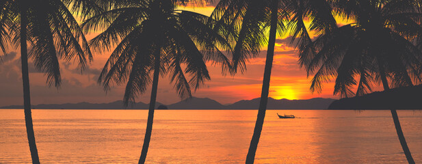 silhouette palm tree and sea sunset panorama © thekopmylife