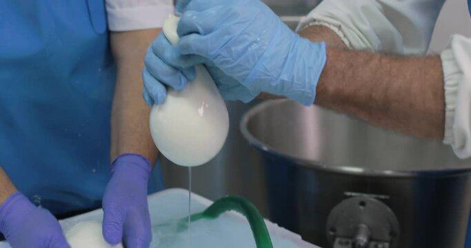 Produzione mozzarelle di bufala campana