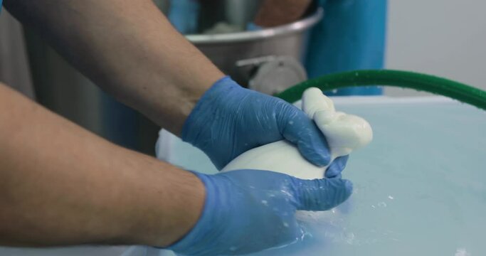 Produzione mozzarelle di bufala campana