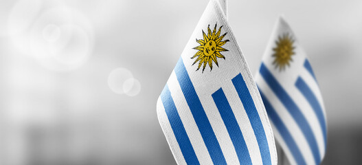 Small national flags of the Uruguay on a light blurry background