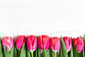 Beautiful pink tulips on wooden background.