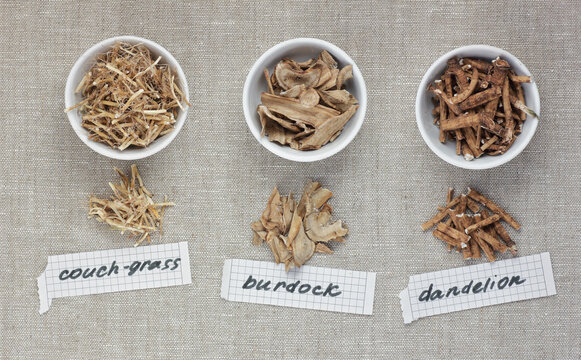 Herbal dried roots of dandelion, burdock and dog-grass from above flat on linen textile, overhead top view, closeup, copy space, alternative medicine and protein herbal vegan food ingredients concept