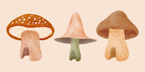 fantasy mushroom house illustration