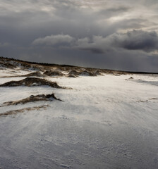 Coast of Baltic sea.