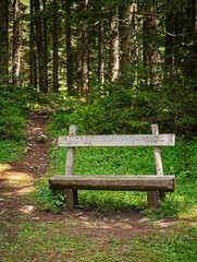 Fototapeta premium Bench in the park in summer