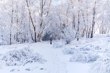 Woman walking through the snow in winter park, Winter time, landscape.