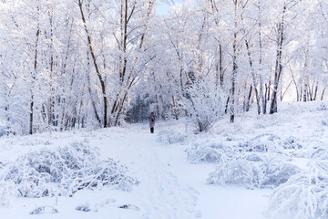Woman walking through the snow in winter park, Winter time, landscape.