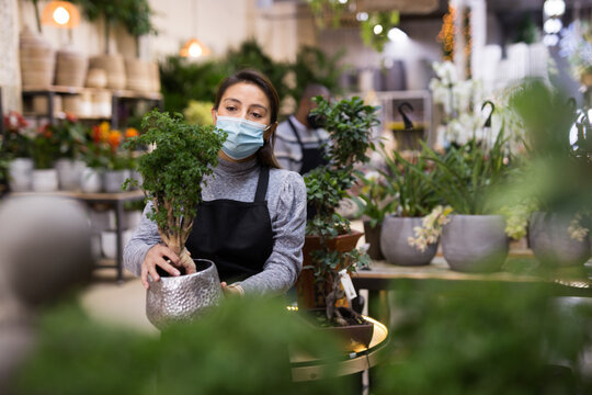Portrait of skilled woman florist in protective mask arranging flowers in pots at flower shop