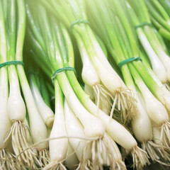 Close up of a pile of fresh green herbs. Green onions, bunches tied. Fresh Green Vegetables in markets.Square image
