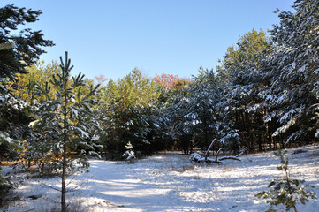 winter erpe valley