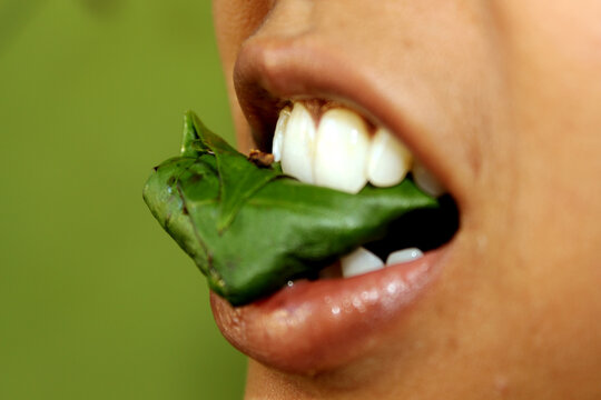 Betal nut Chewing, Paan, India Herbal Mouth freshener after eating food
